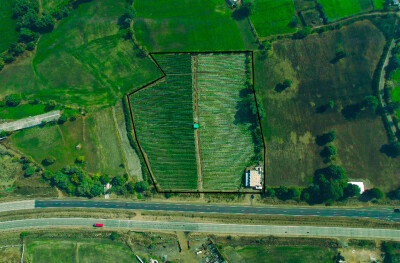 Farmland at Four Lane National Highway.