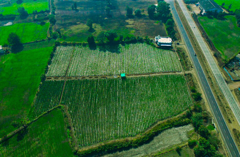 Farmland at Four Lane National Highway.-3