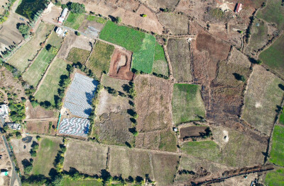 Farm-Estate