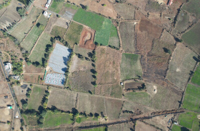 Farm-Estate