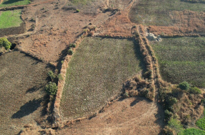 Farm-Estate