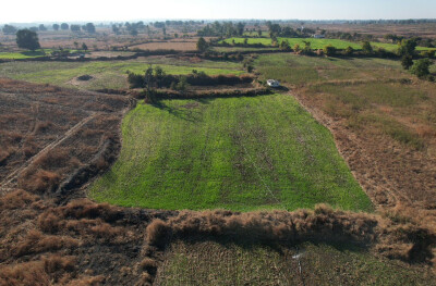 Farm-Estate