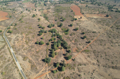 Forest Farm at Kundam