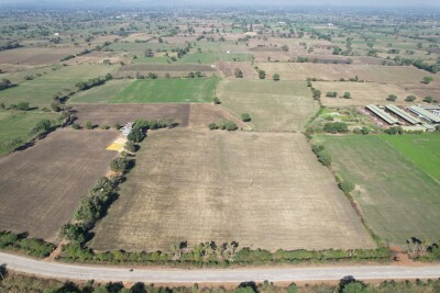15 Acre Land at Panagar